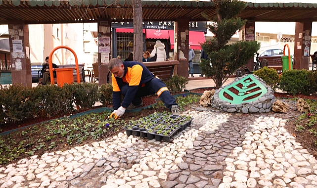 Çankaya’da kışlık çiçek üretimi başladı