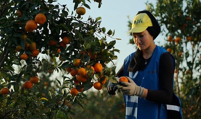 Türkiye, 2024'te 3,4 milyar dolarlık yaş meyve sebze ihraç etti