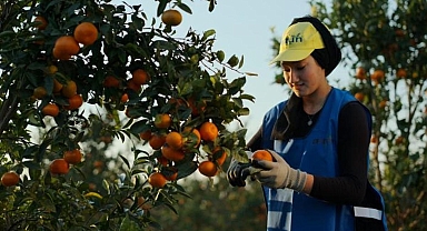Türkiye, 2024'te 3,4 milyar dolarlık yaş meyve sebze ihraç etti