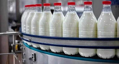 Türkiye'nin 40 yıllık süt devi konkordato ilan etti