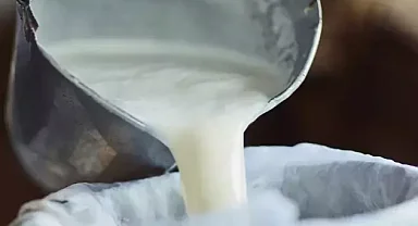 Şubat'ta süt ürünleri üretiminde düşüş... Ayran ve kefir üretimi yüzde 6,9 arttı