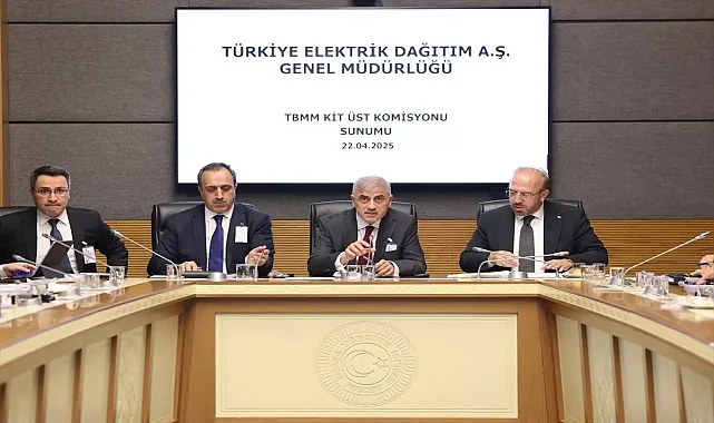 TEDAŞ, Elektrik Dağıtım Denetimlerini Açıkladı
