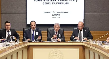 TEDAŞ, Elektrik Dağıtım Denetimlerini Açıkladı