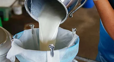2024'te 22,5 milyon ton çiğ süt ürettik!
