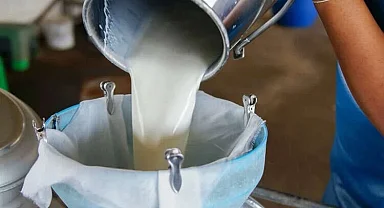 Türkiye’de süt üretimi yükseliyor! Mart’ta 1 milyon 15 bin ton süt toplandı