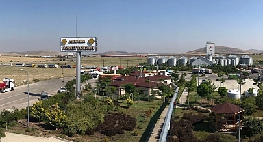 Ankara'da kuraklık nedeniyle verim yüzde 30 düşmüş görünüyor