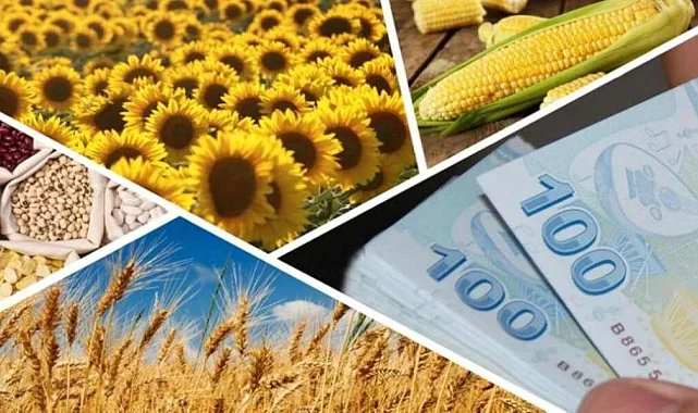 Çiftçilere 1,7 milyar TL’lik destek ödemesi hesaplarda