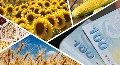 Çiftçilere 1,7 milyar TL’lik destek ödemesi hesaplarda