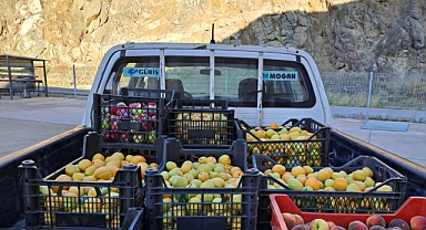 Güriş Holding 674 sosyal sorumluluk projesine imza attı