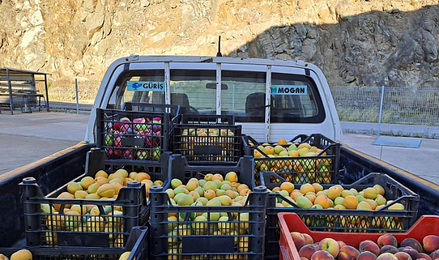 Güriş Holding 674 sosyal sorumluluk projesine imza attı
