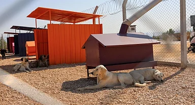 Doğal SİT'lerde hayvan bakımevleri için yeni ilke kararı!