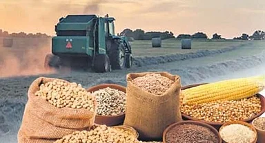 Tarımsal ürün fiyatları ve endekslerde yükseliş