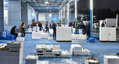 Ankara Belediyesi balık hali'nde günlük kontrollerine başladı