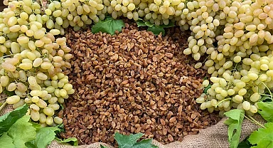 Çekirdeksiz ihracatta Türkiye 'en'leri yaşadı