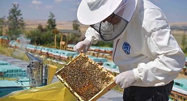 Ankara’da arıcılık araştırma, üretim ve eğitim merkezi kuruldu