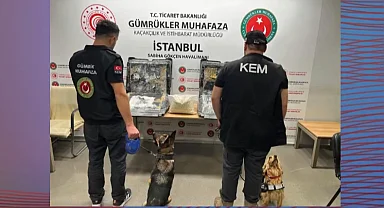 Zehir tacirlerine bir darbede Gümrük Muhafaza'dan! Binlerce kilo esrar ele geçirildi
