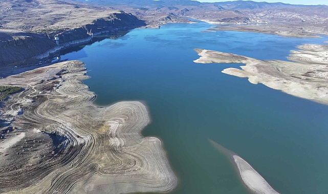 Ankara'da yaşam büyük risk altında. Nüfus azaltılmalı