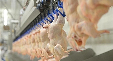 BESD-BİR, tavuk eti zehirlenmelerine karşı uyardı