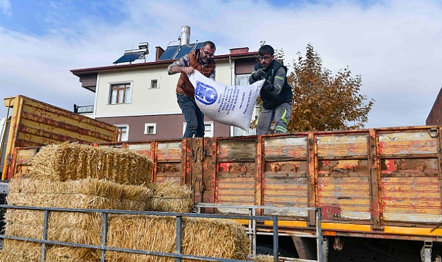 Büyükşehir Belediyesi’nden manda yetiştiricilerine kaba yem desteği
