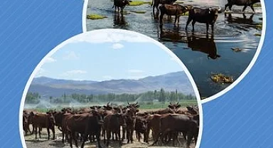 Halk elinde ıslaha 2,7 milyar TL destek