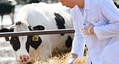 Tarımsal girdiler yüzde 33,66 arttı... Veteriner harcamaları yine zirvede!