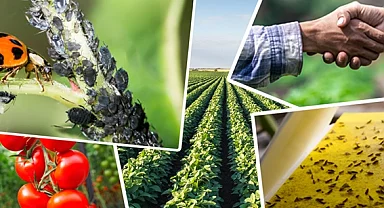 Tarımsal üretimi destekleyecek önemli düzenleme... Tarımsal destek ödemelerine ayar