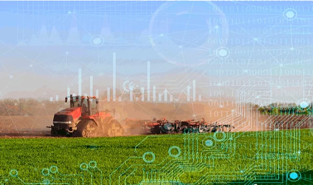 TÜİK 2025 bitkisel üretim verilerini açıkladı