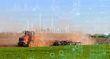 TÜİK 2025 bitkisel üretim verilerini açıkladı