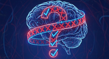 Beyin hatalardan neden ders almaz?