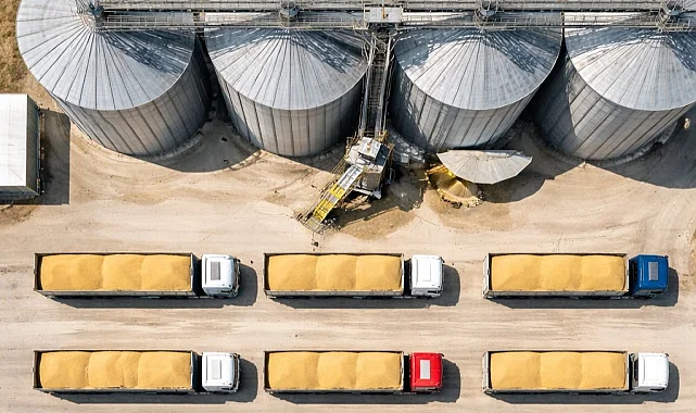 TMO’dan buğday satışı... 1,2 milyon ton stok günlük açık artırmada