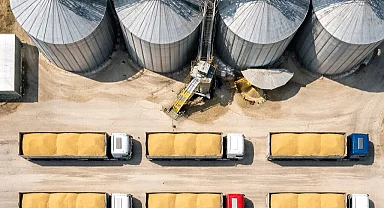 TMO’dan buğday satışı... 1,2 milyon ton stok günlük açık artırmada