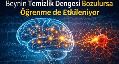 Beynin temizlik dengesi bozulursa öğrenme de etkileniyor