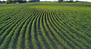 Tarım arazilerinin etkin kullanımı için hibe desteği