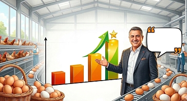 Yatırım arttı, üretim coştu: yumurta sektörünün geleceği parlak