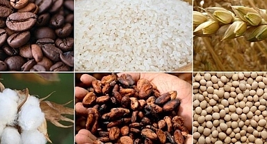 Emtia piyasasında barış rallisi