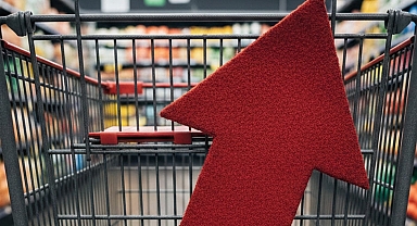 Tabağınızdaki yemeğin gizli sahipleri: Gıda krizi kapıda!