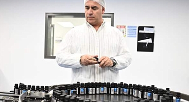 Talya bitkisel 6 milyon dolarlık yatırımla üretimi 10 kat artacak