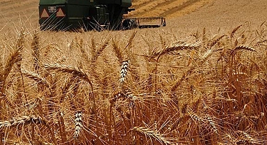 CHP'li Gürer: 22 yılda Ankara'nın yüz ölçümüne yakın tarım alanı kaybedildi