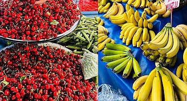 Tarımın şampiyonu belli oldu