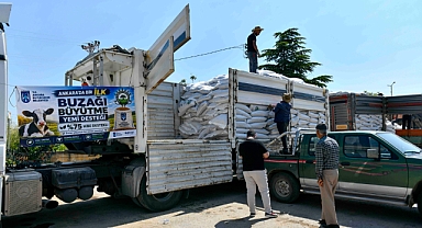 Buzaği büyütme yemi desteği kirsaldaki yetiştiriciye can suyu oldu