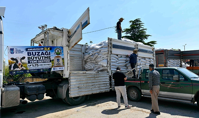 Buzaği büyütme yemi desteği kirsaldaki yetiştiriciye can suyu oldu