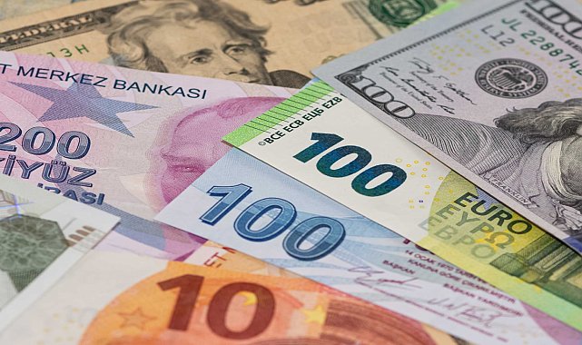 Reel kur endeksi mayısta geriledi: TL'nin reel değeri TÜFE bazında düştü