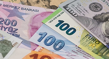 Reel kur endeksi mayısta geriledi: TL'nin reel değeri TÜFE bazında düştü