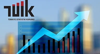 TÜİK, bazı haber bültenlerinin tarihini değiştirdi
