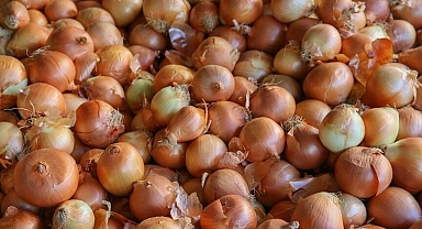Kuru soğan ithalatında gümrük vergisi geçici olarak yüzde 5'e indirildi