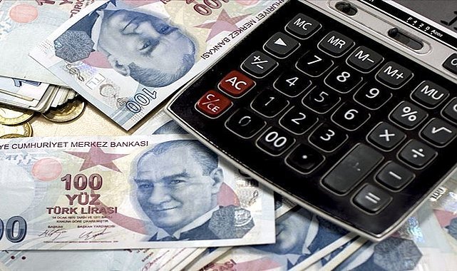 TL'nin değeri haziranda geriledi
